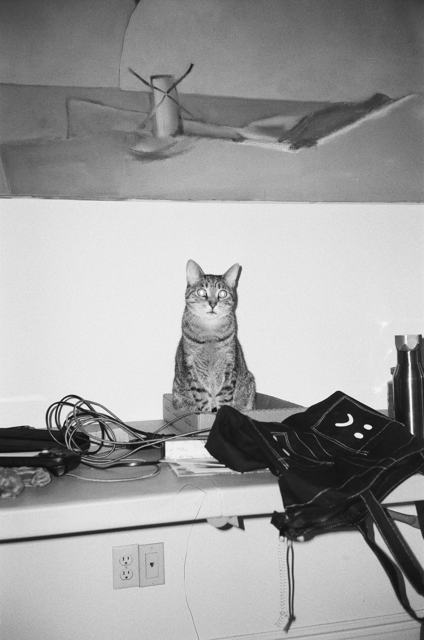 Black and white photo of Fern, a tabby cat, on a fold out table in a cardboard box.