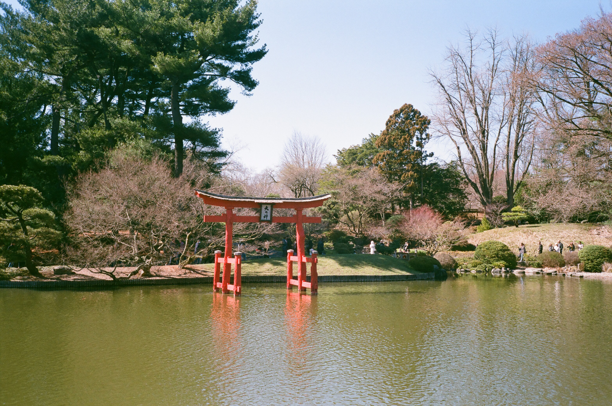 A bright red Torii gate in the middle of a lake.