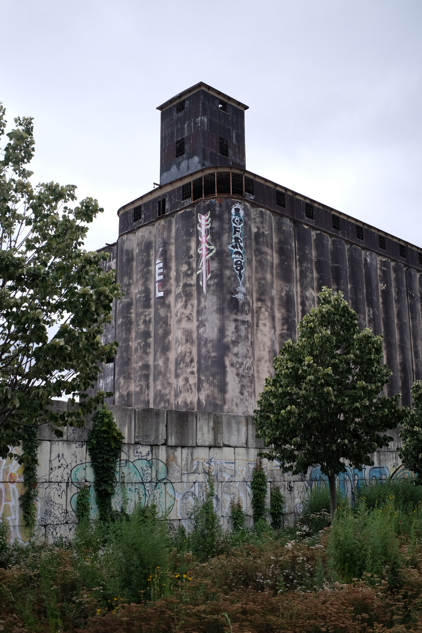 Red Hook Grain Terminal, a massive concrete building covered in graffiti