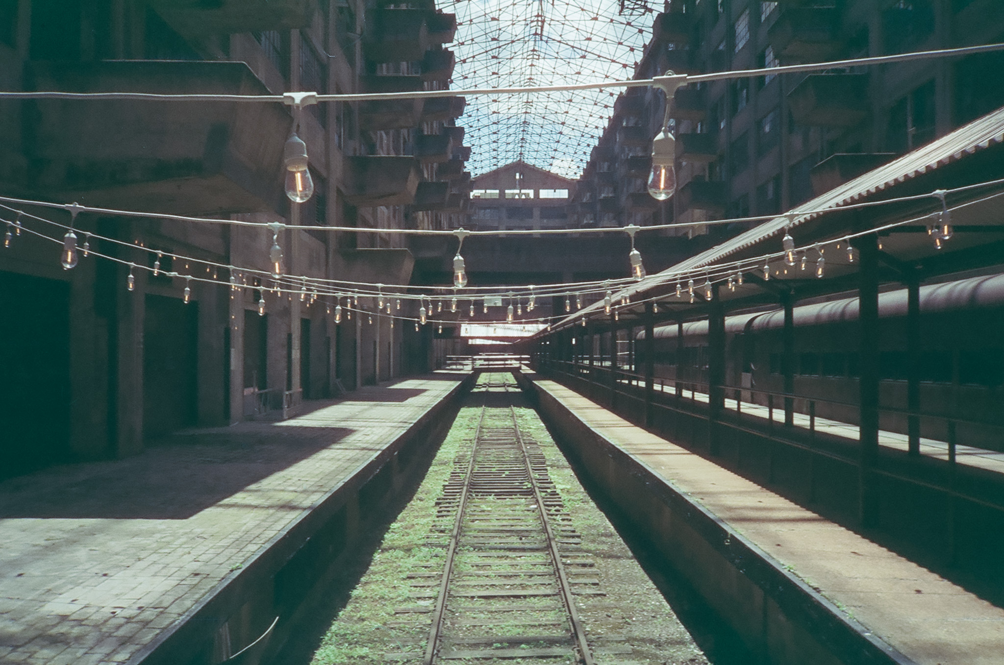 A long warehouse building with an abandoned rail line covered in grass. There are lights strung about just above eyelevel.