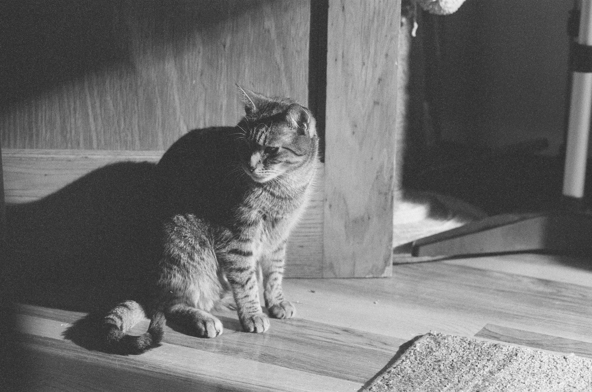 Fern standing near a door in a high contrast black and white photo. He is looking away from the sun, mostly in shadow.