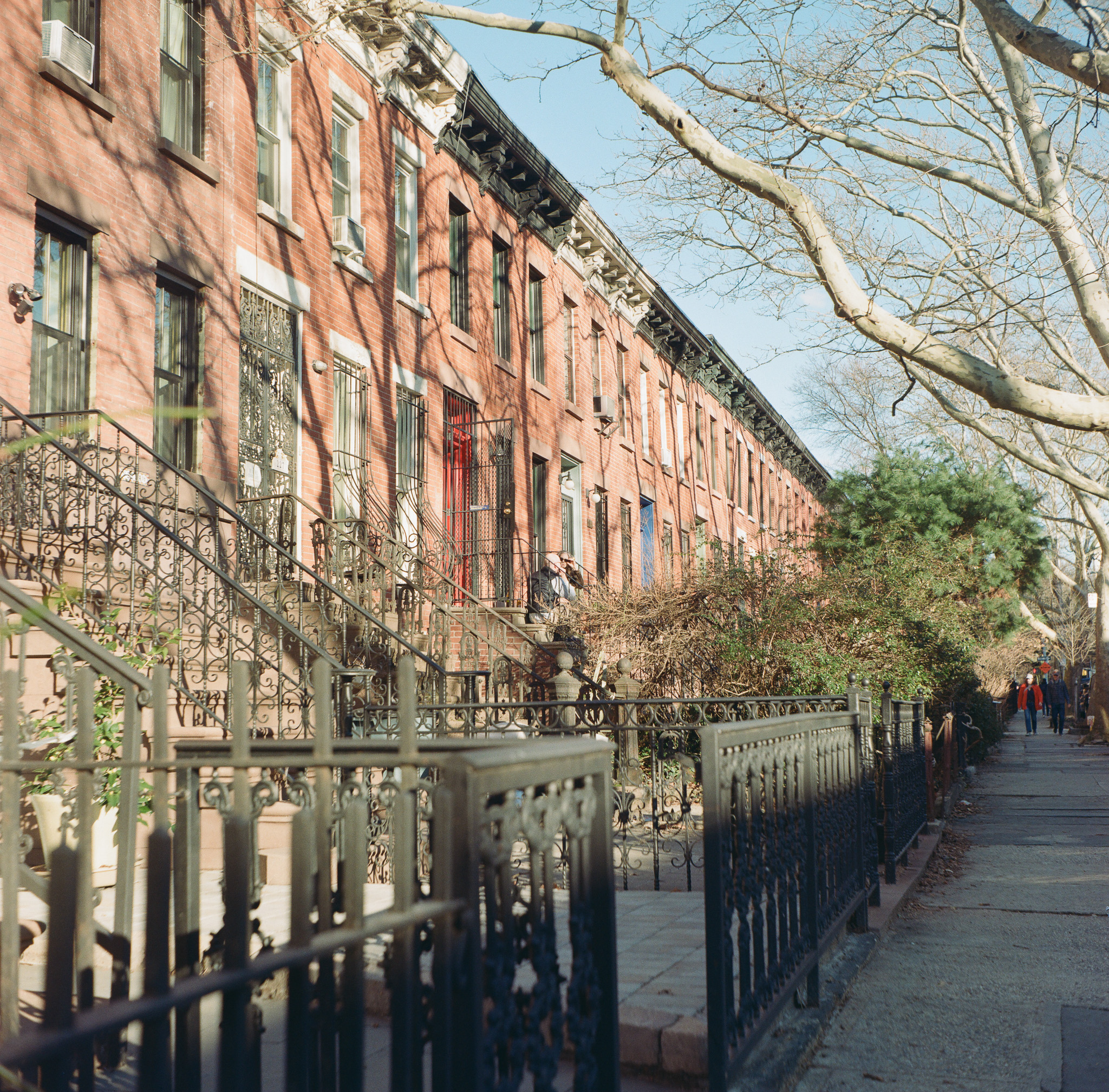 Several brownstones in Brooklyn as seen from the street.