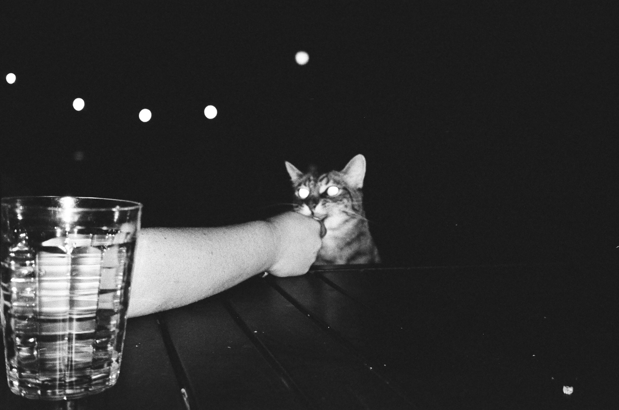 Black and white photo with heavy flash. A cat with laser eyes is getting a treat from a hand in the foreground.