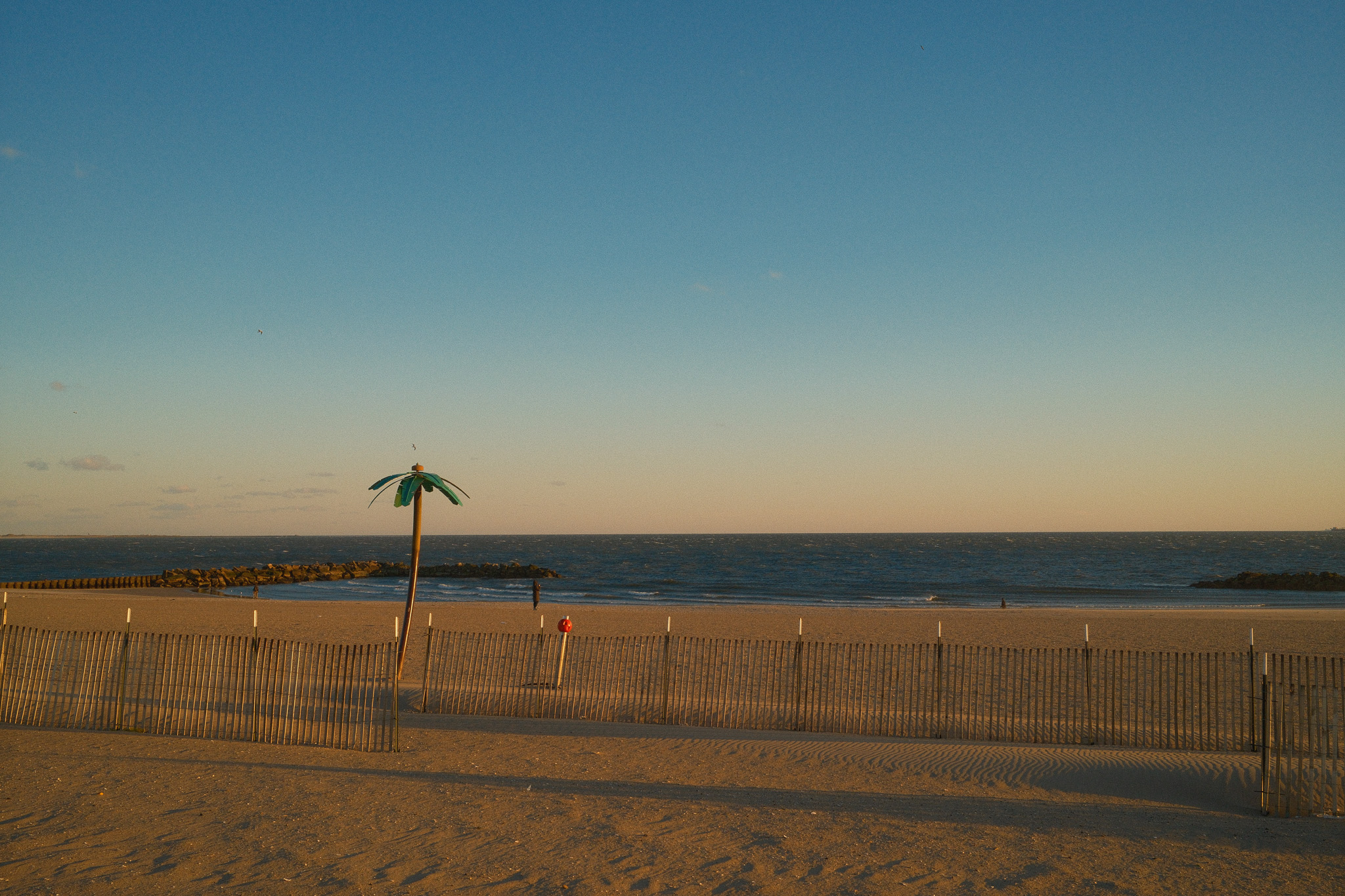 Coney Island beach. A plastic palm tree stands alone on the beach in front of the ocean.