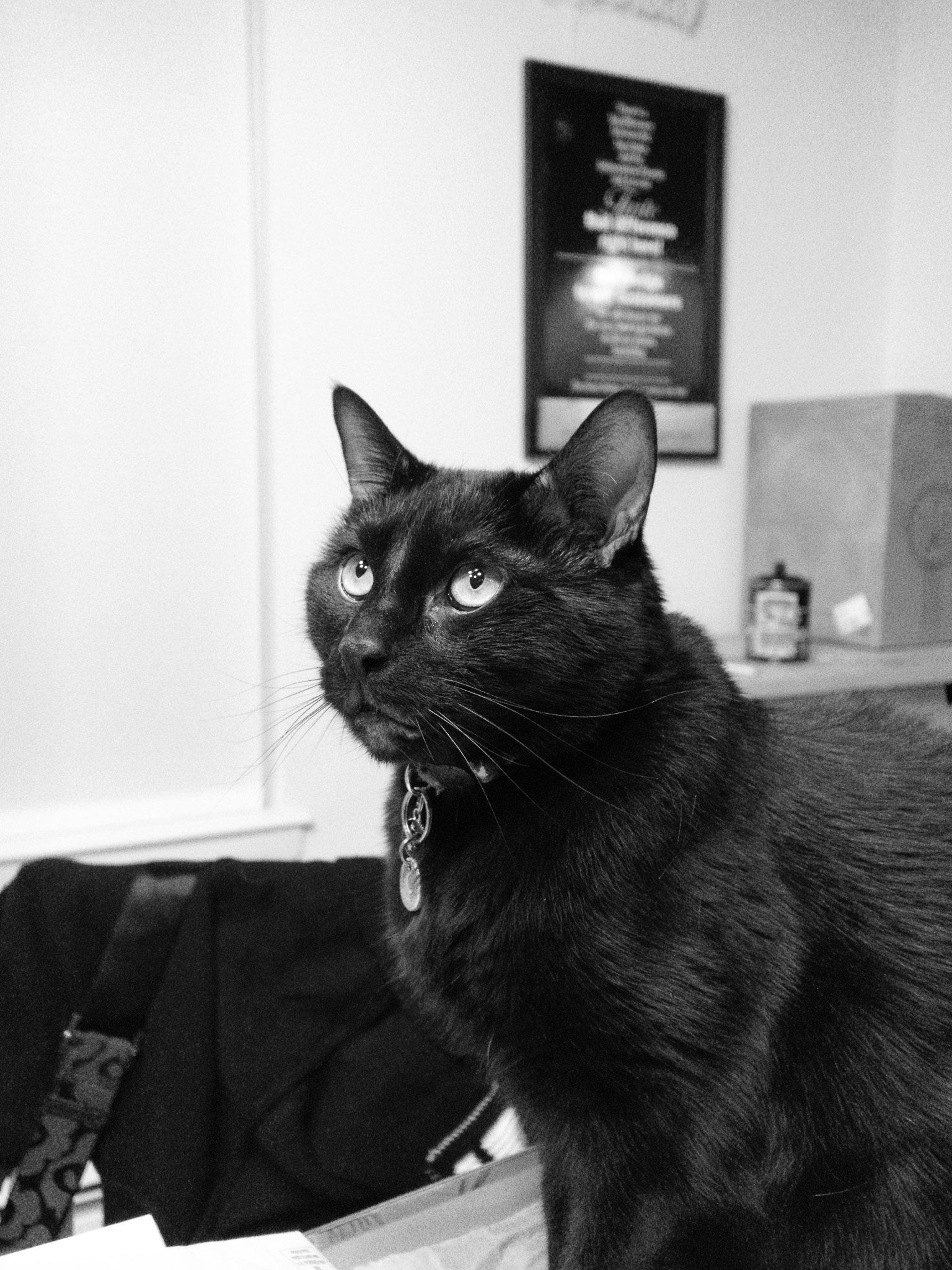 Barley rolling his eyes and looking annoyed