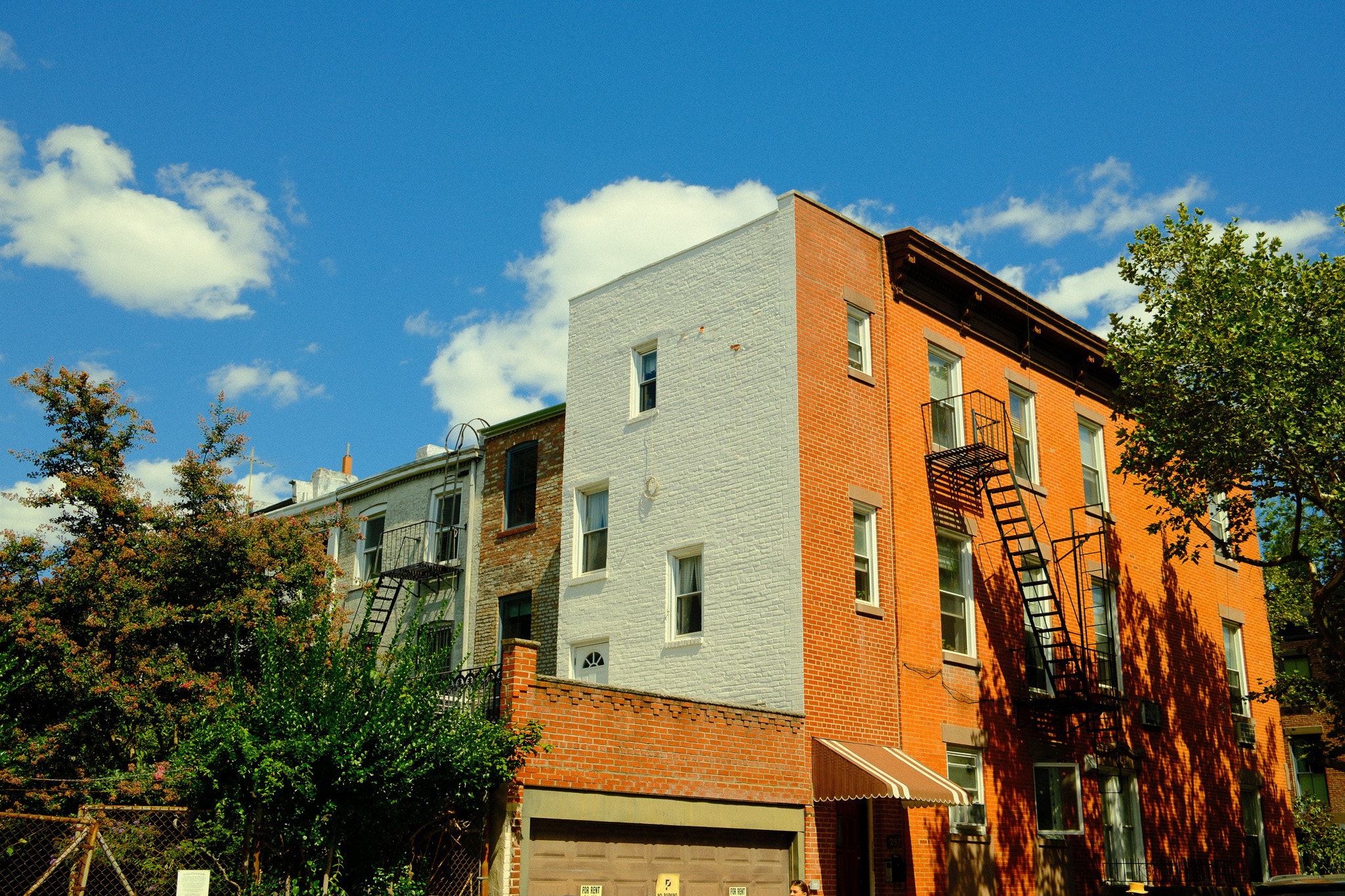 The back of a few brownstones in Brooklyn flanked by some large trees.