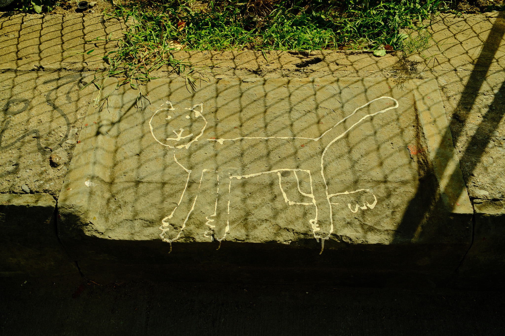 A crudely drawn graffiti of a cat on a sidewalk.