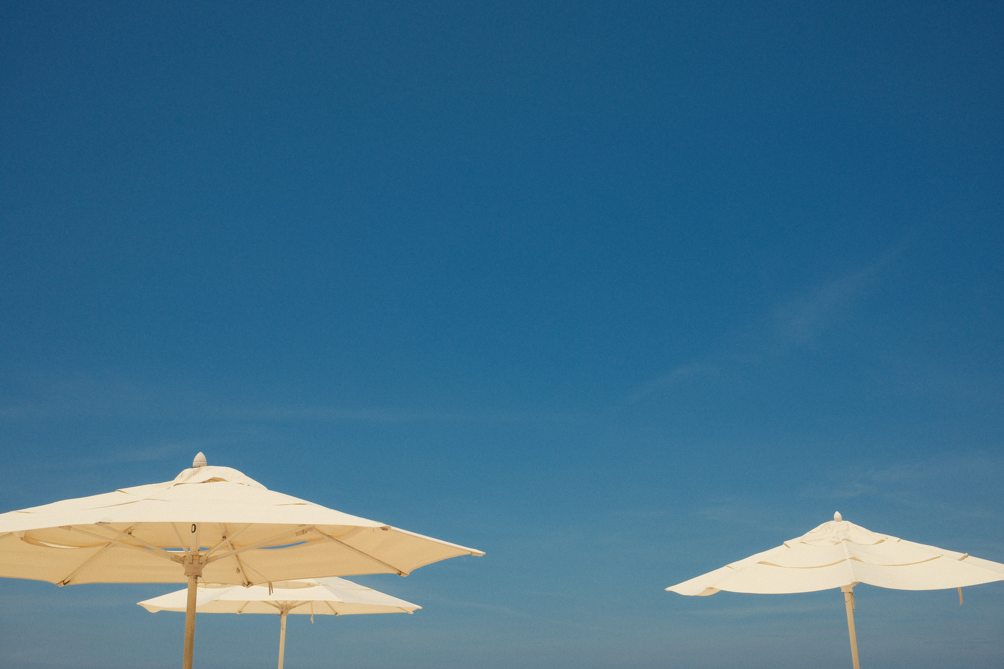 The tops of 3 sun umbrellas.