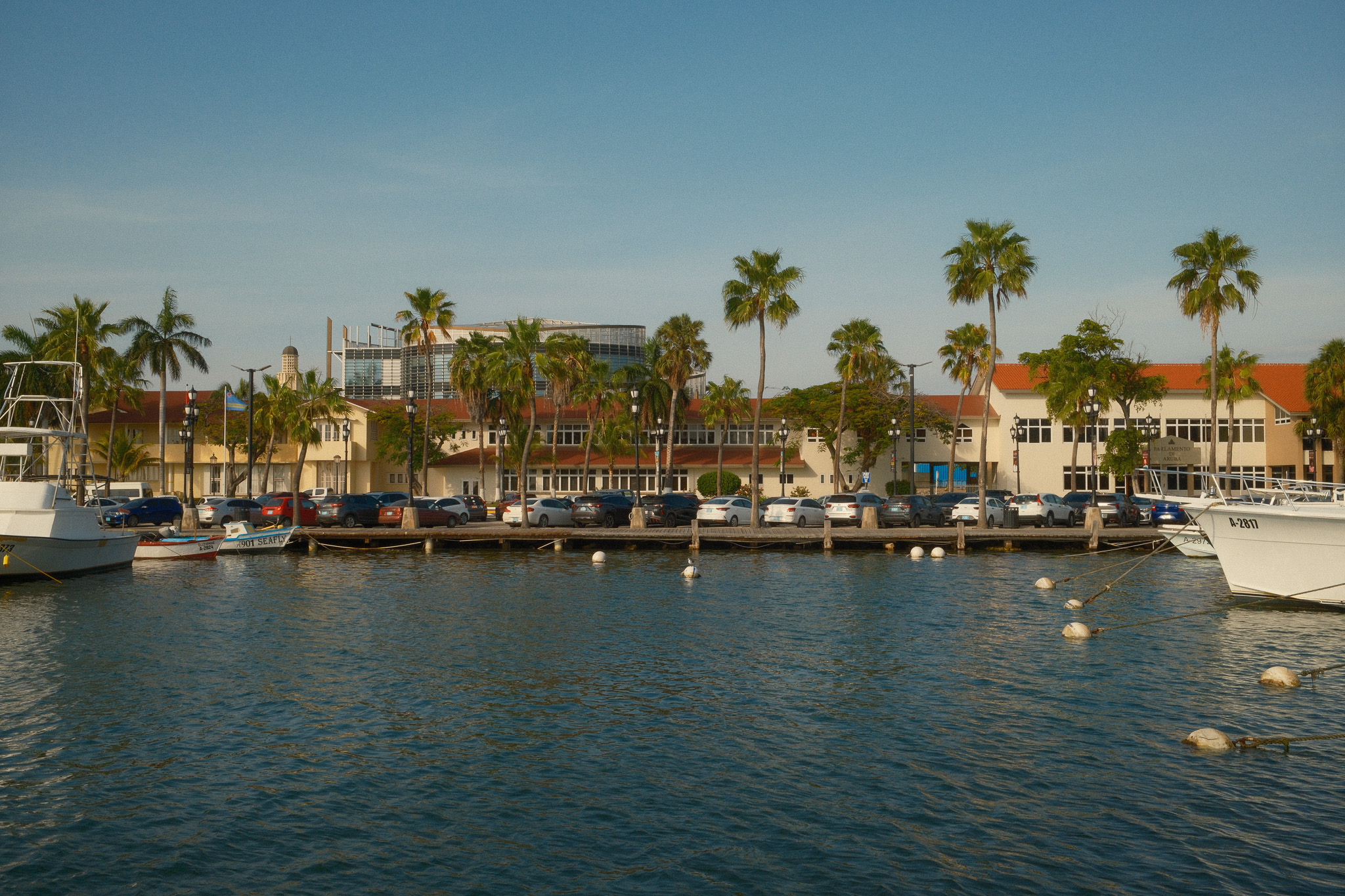 A few boats in a marina lined with palm trees.