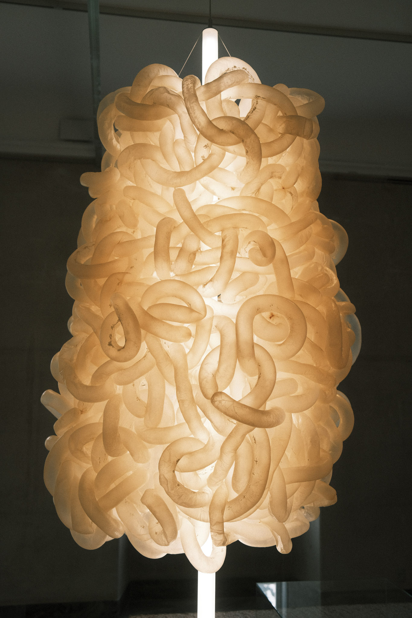 A lamp made out of a central light surrounded by clean, dried, and interlaced pig intenstines