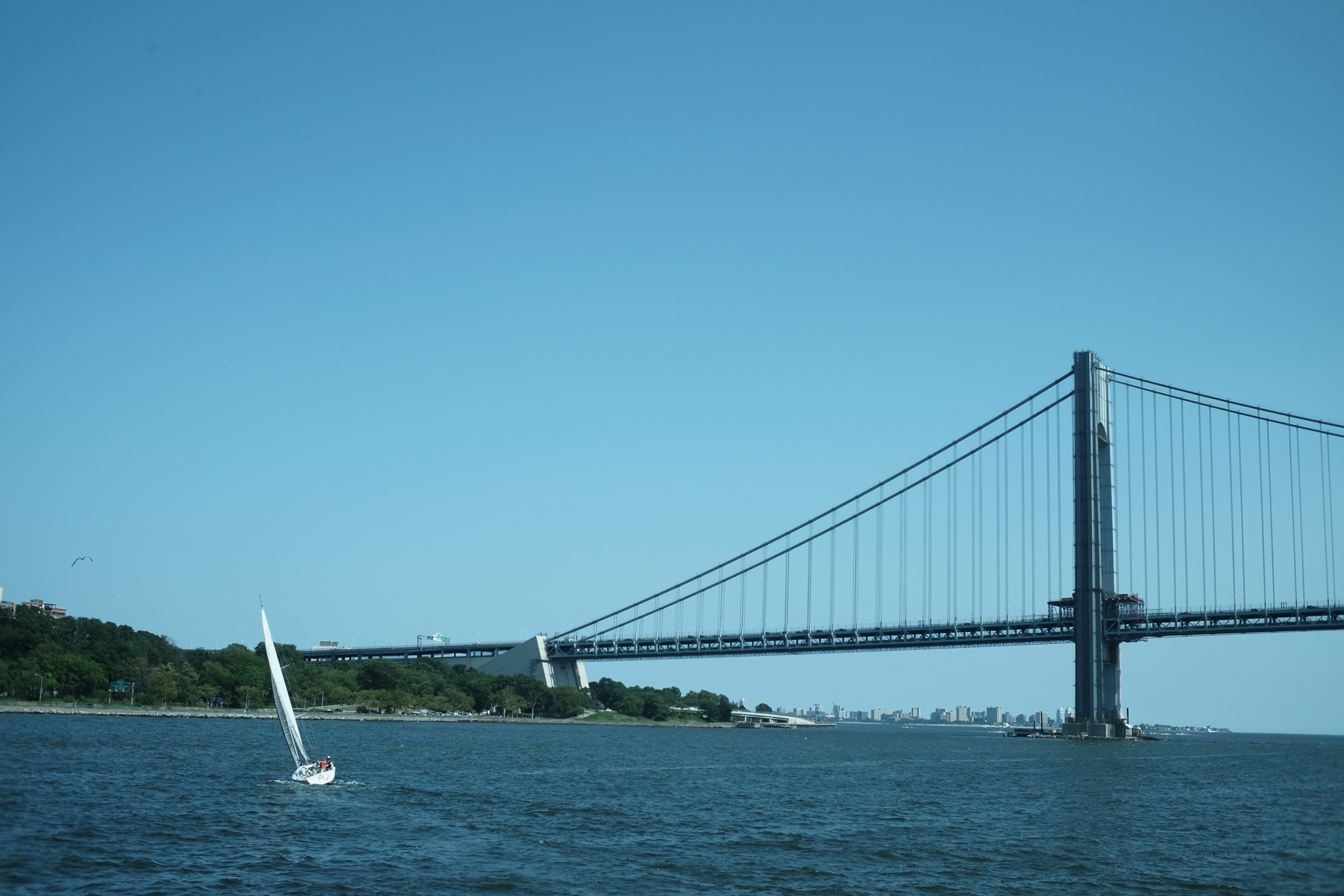 A white sailboat banking hard near the Verrazzano bridge.