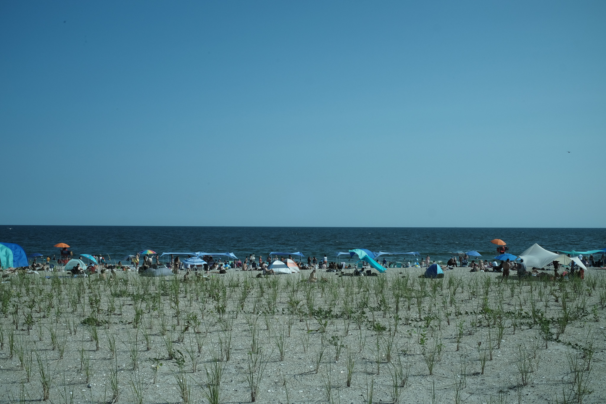 The beach at the Rockaways on a busy summer day with lots of umbrellas and the sand dune in the foreground.