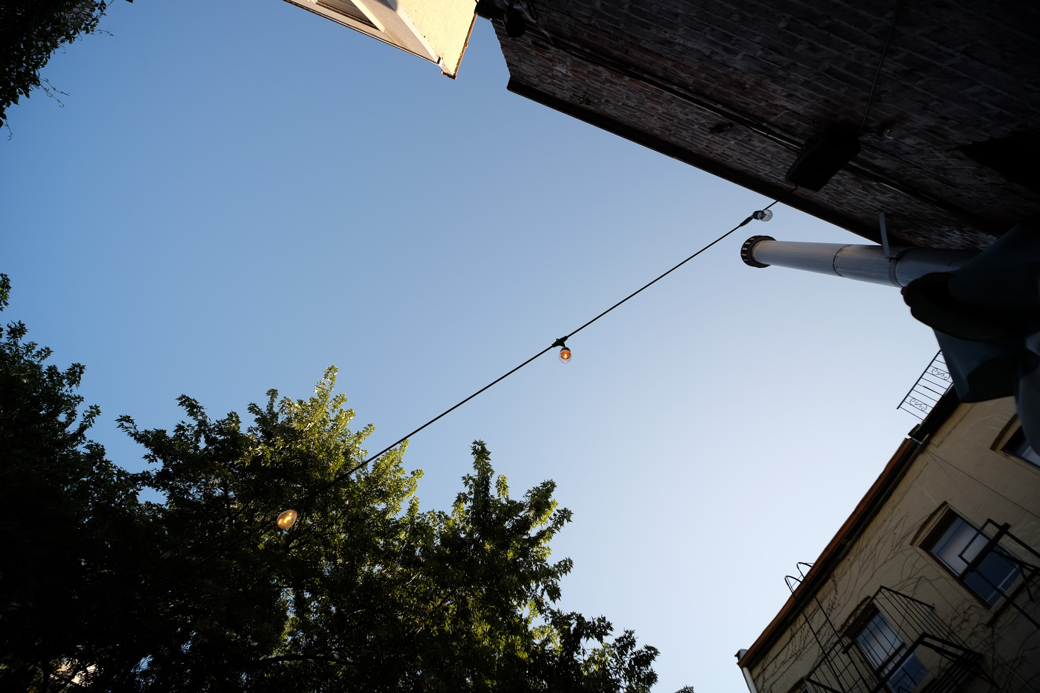 The open sky between a few buildings and some trees. A string of lights hangs between them.