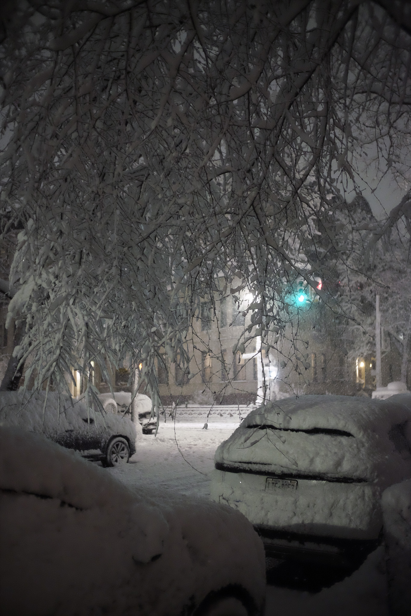 A frosted over tree hanging low over some snow crusted cars