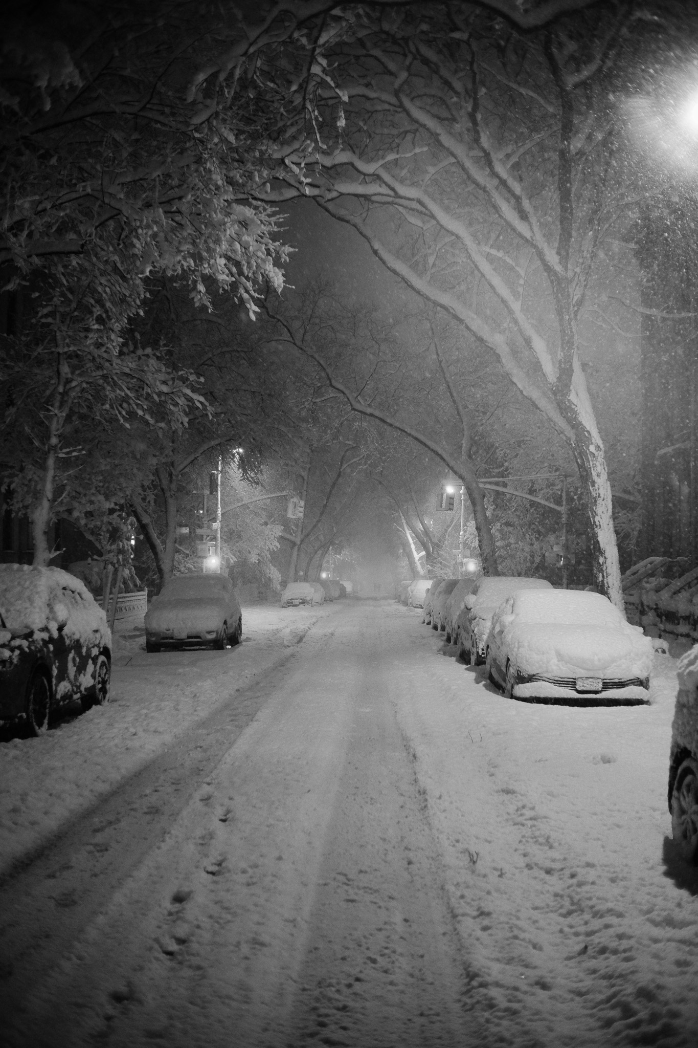 A snow covered street