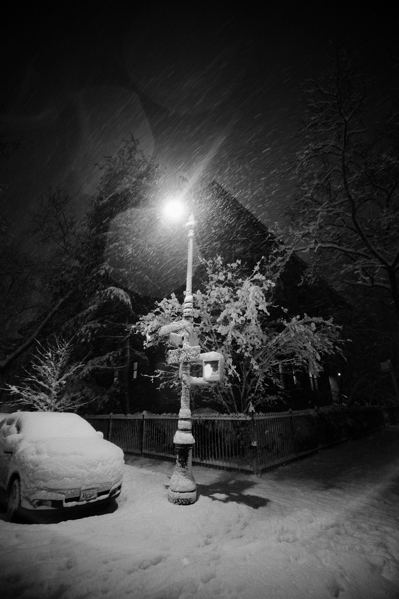 A snow encrusted lamp post.