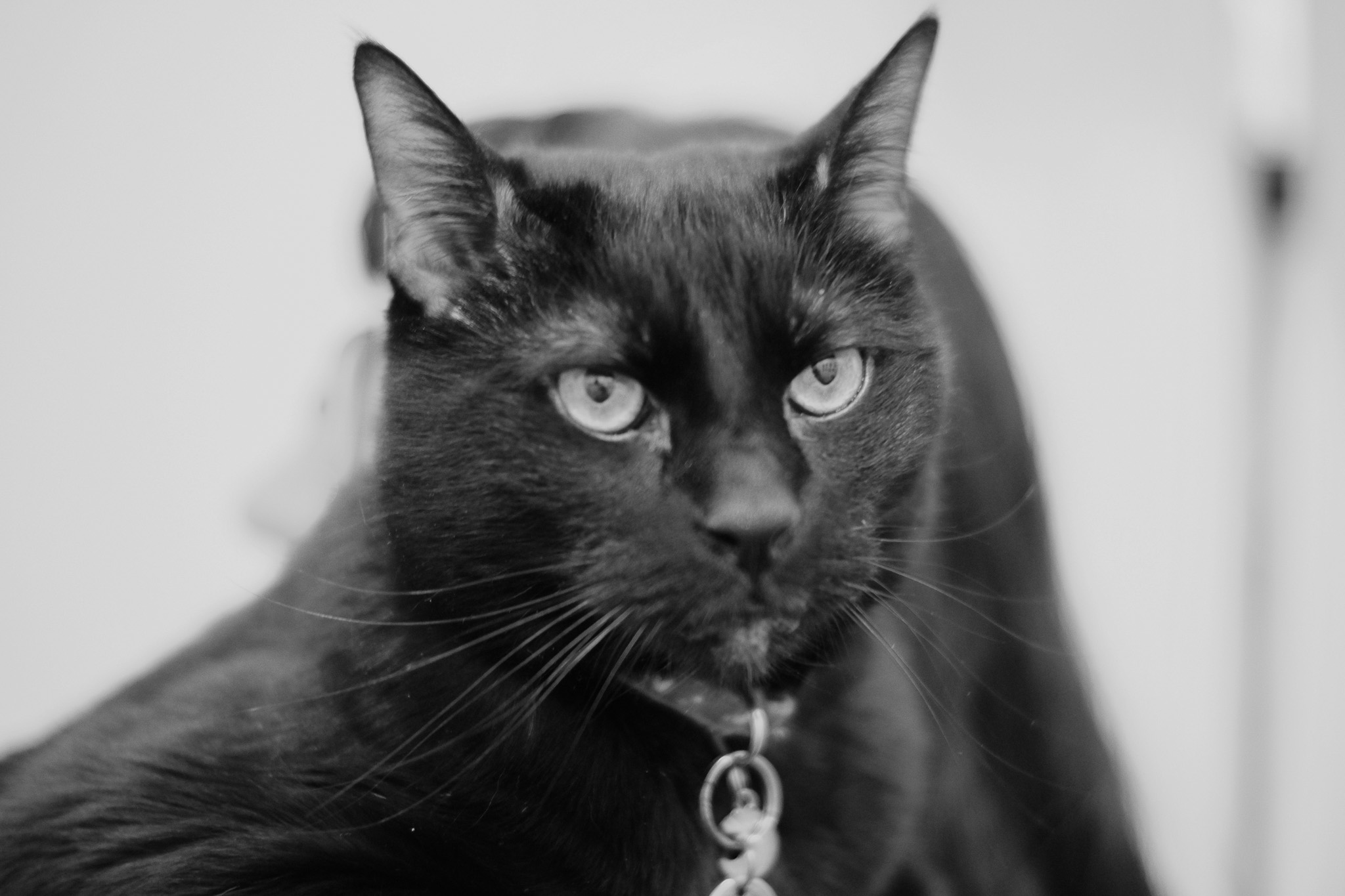 Barley smoldering at the camera.