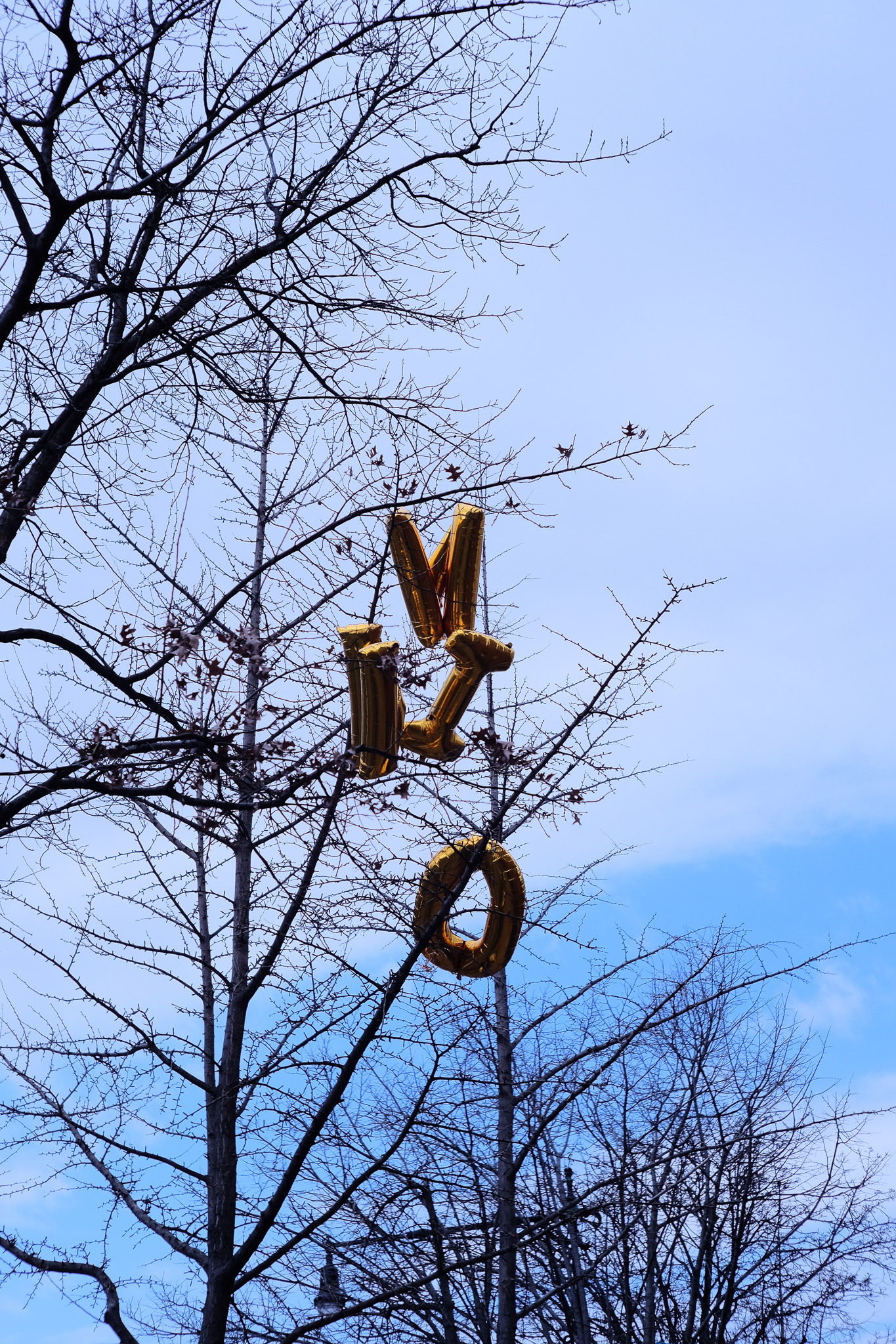 Golden letter balloons stuck in a tree.