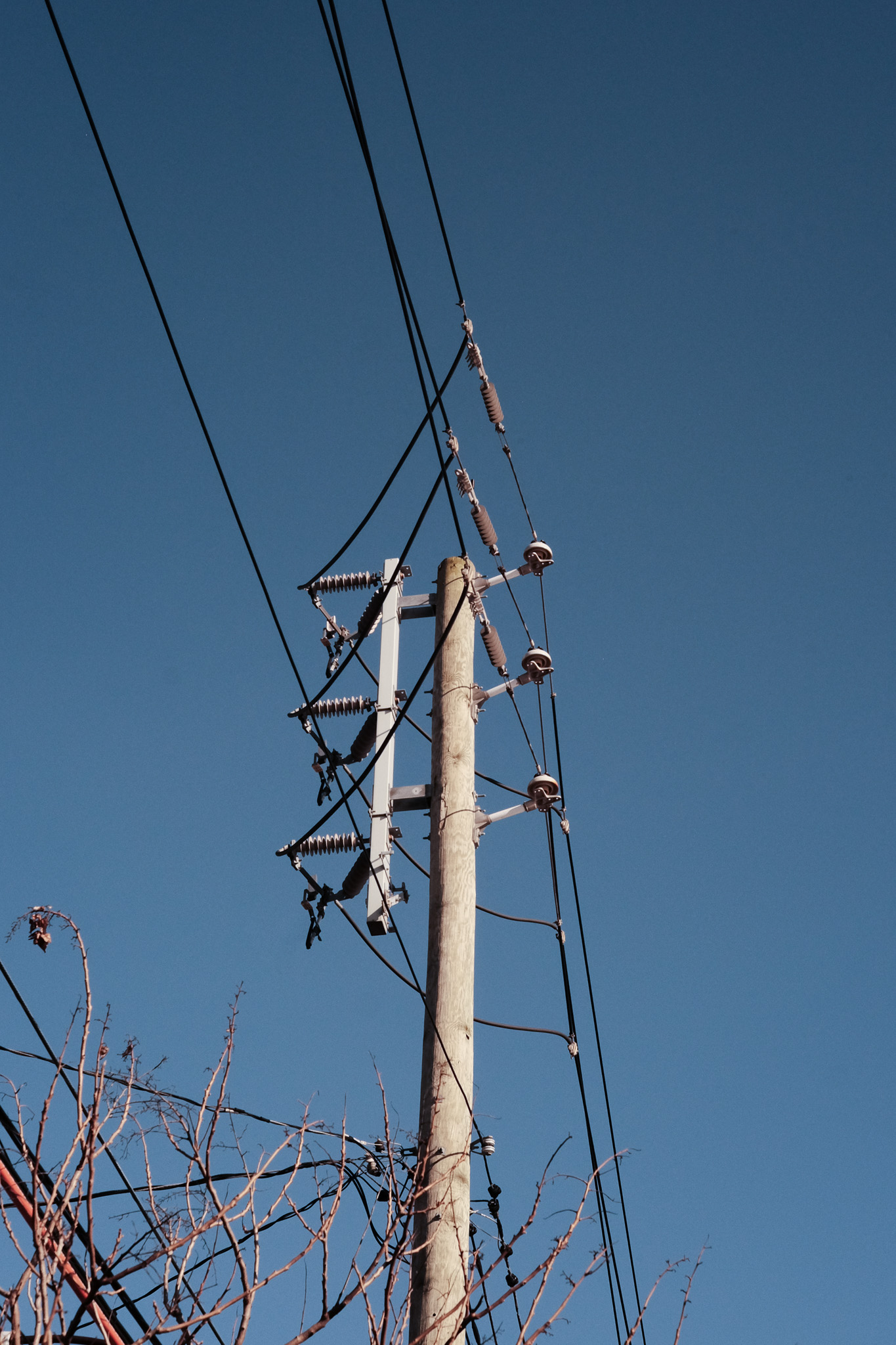 A utility pole with many power lines meeting at the top