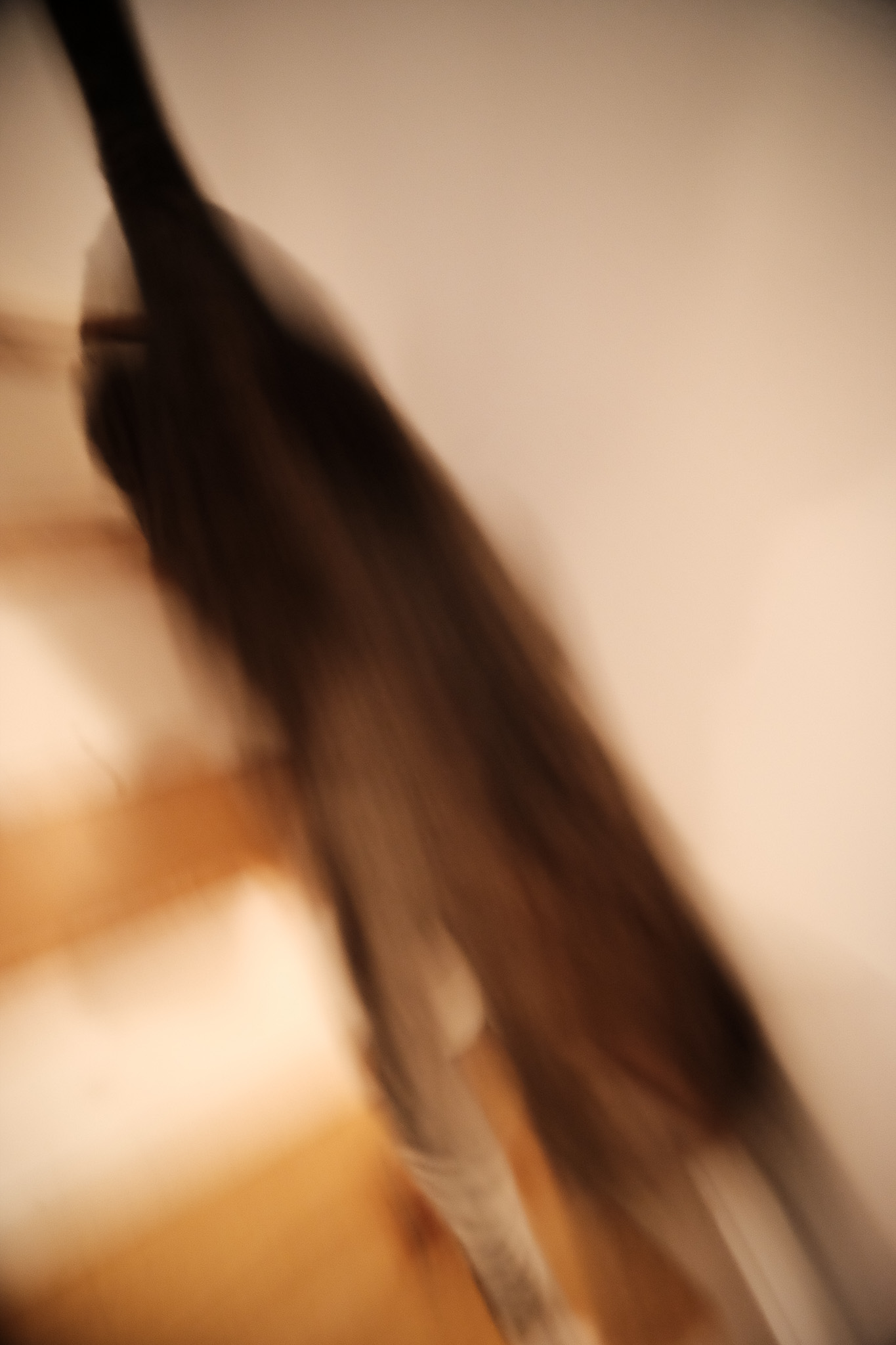 A blur of a tabby cat going down the stairs