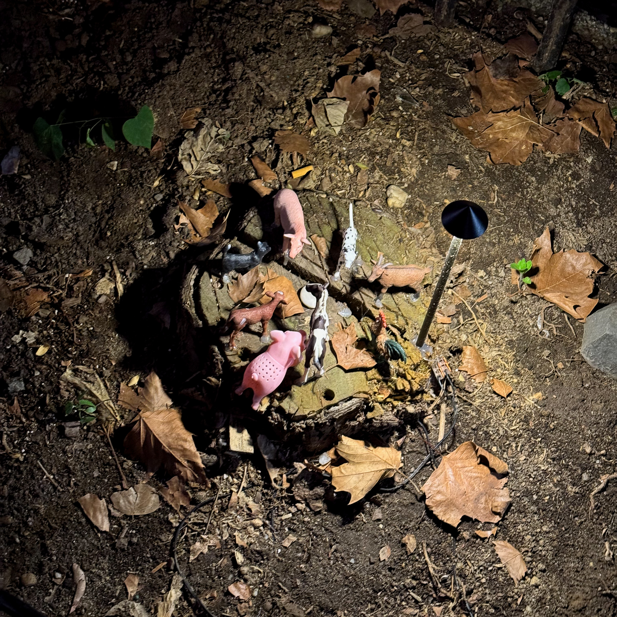 A group of children's plastic animal toys gathered in a circle on a stump.